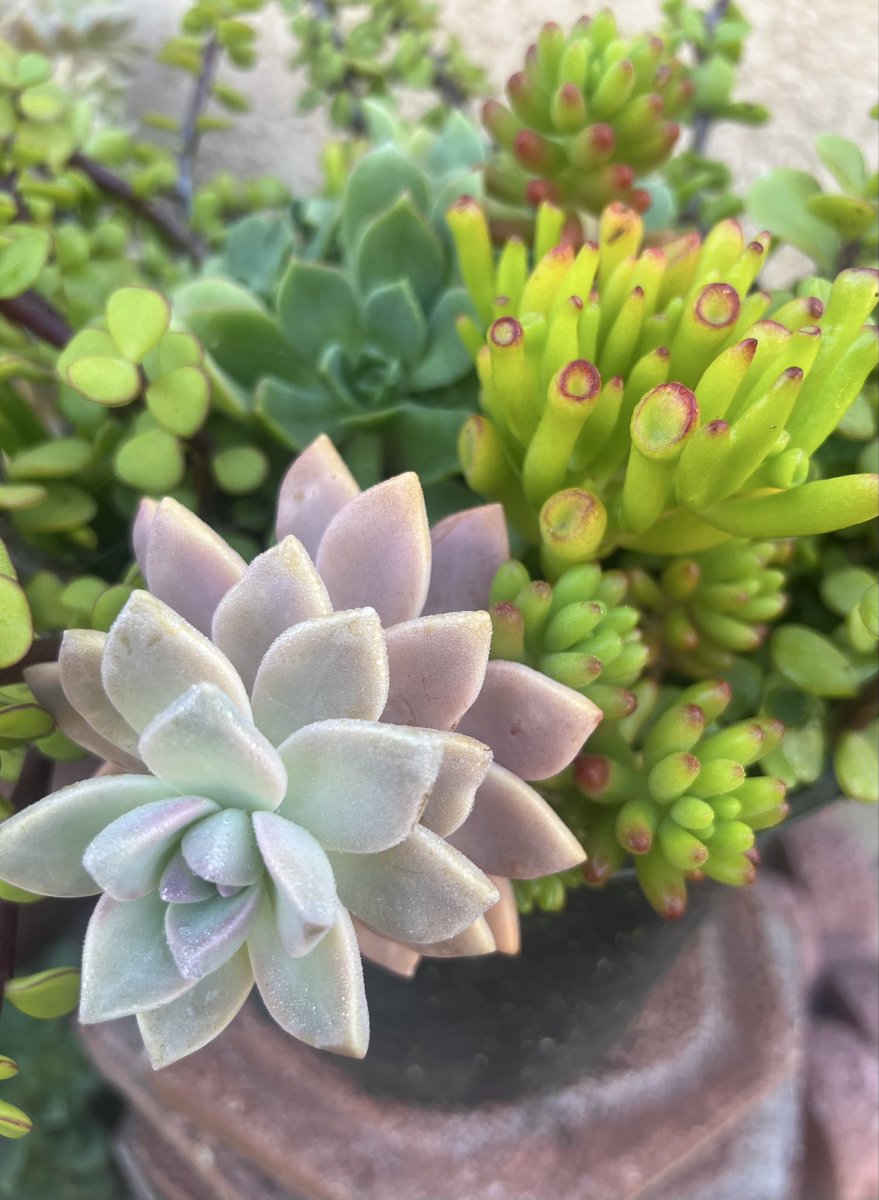 一叶知秋 tweet media