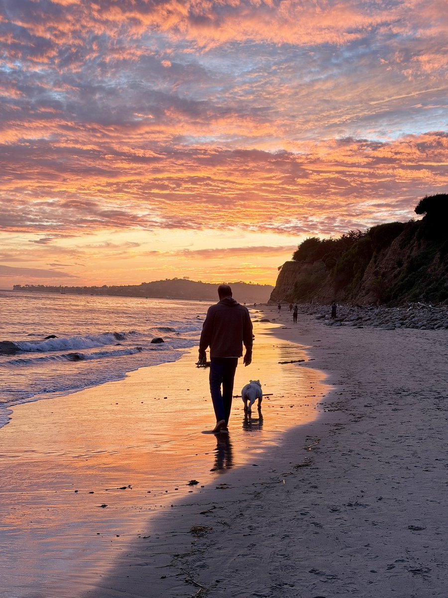 Physical gounding. “Earthing” - No dog required.  But recommended. Possible improvements in sleep, pain, and stress markers.