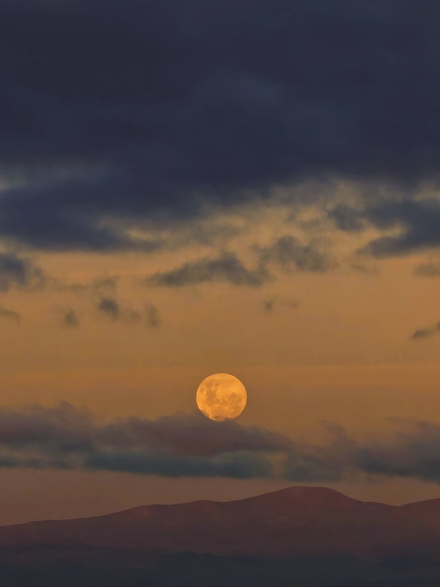 Seba Campos tweet media