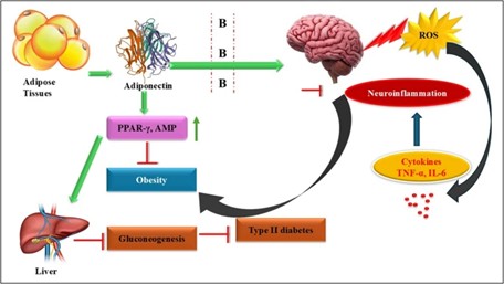 Neural Cell News tweet media