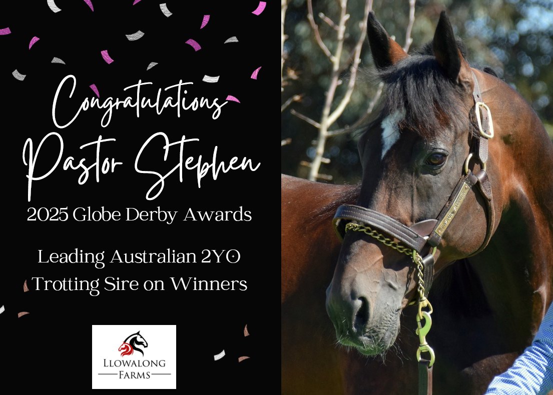 Northern Rivers Equine & Llowalong Farms tweet media