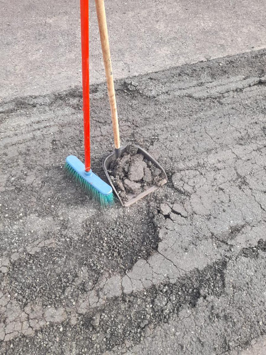 Darcy Quinn tweet media