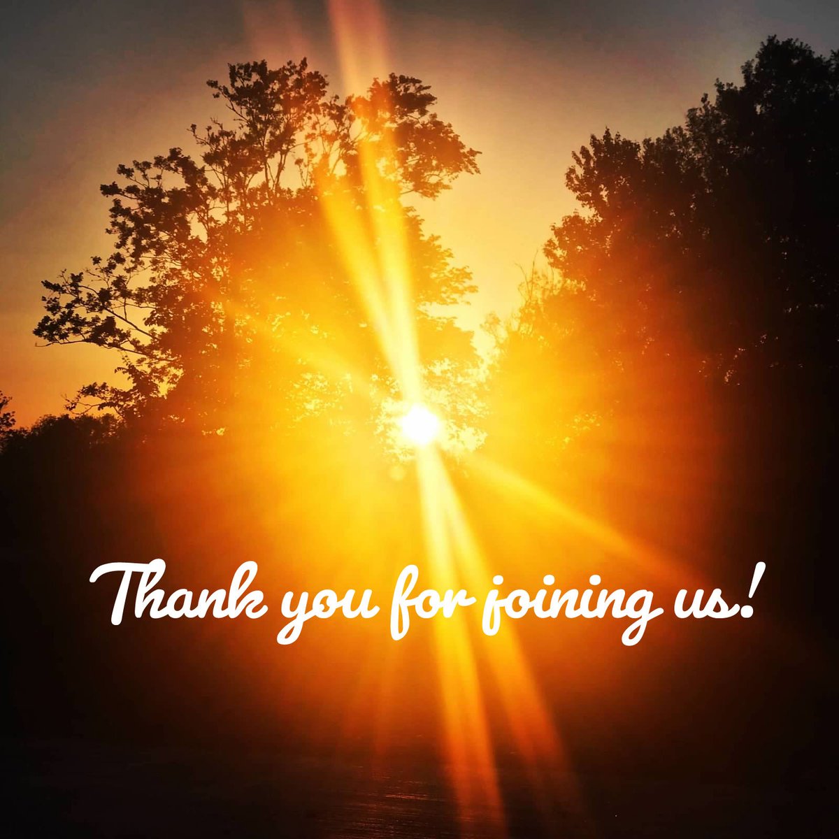 Alecia | Leisure Lambie tweet media