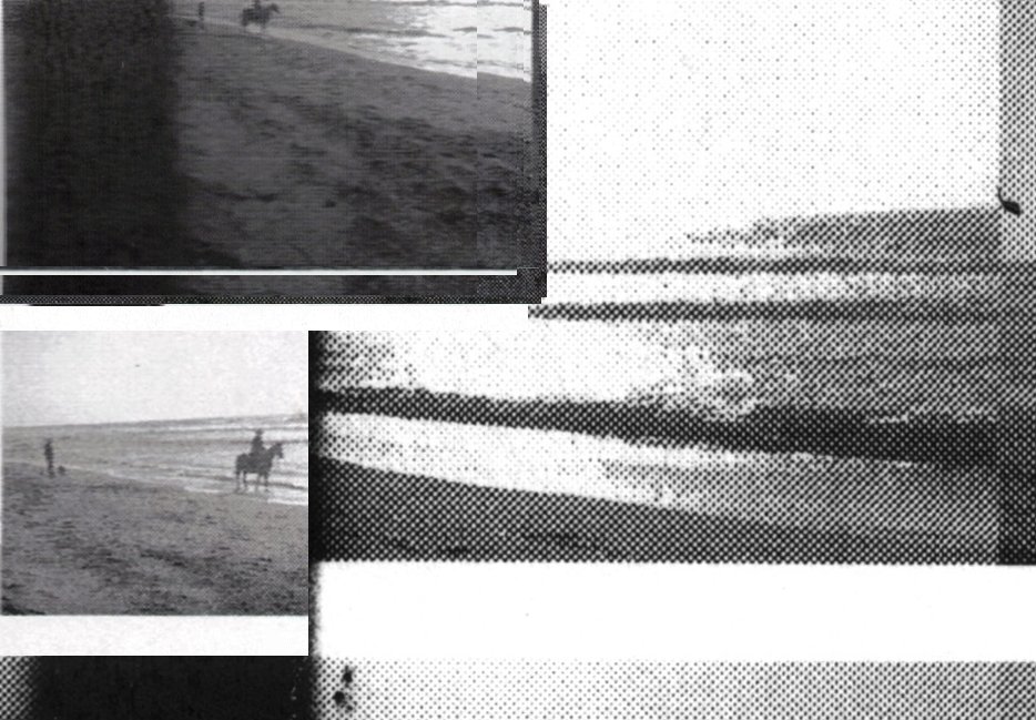 kendraplex (zsa/zsa) tweet media