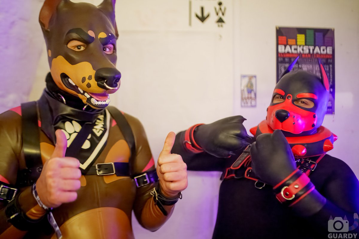 Gimpy Xenos tweet media