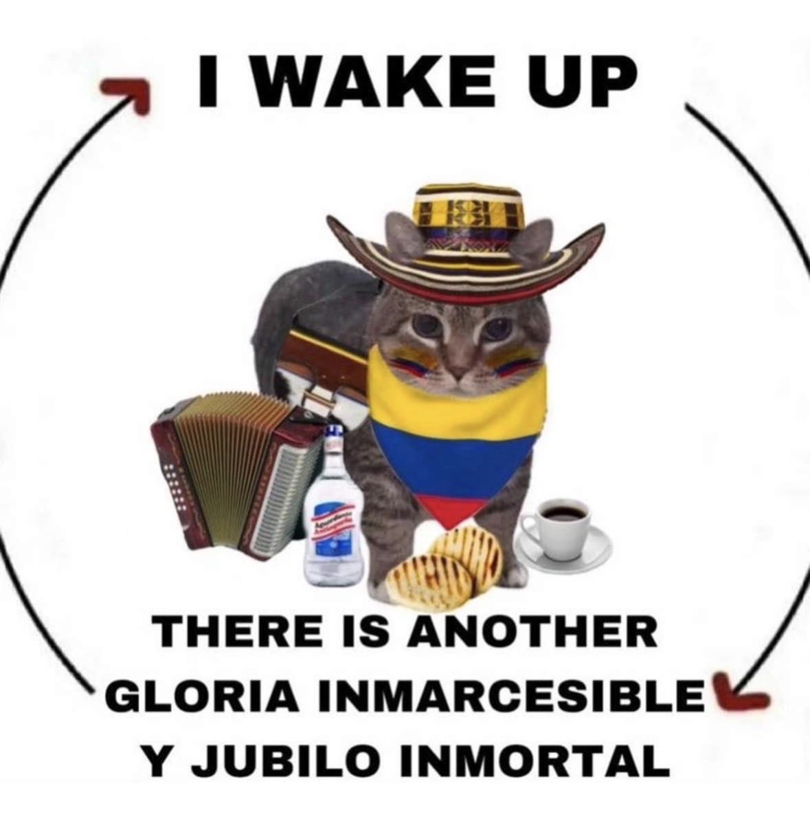 sophie ཻུ۪۪♡ SEEING YVES! tweet media