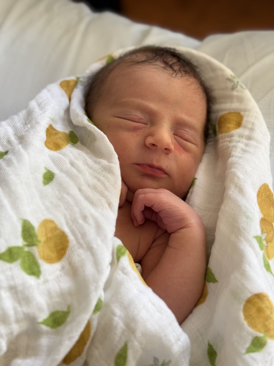 Patrick Daugherty tweet media