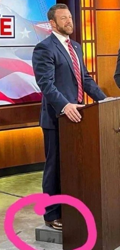 Librarian No. 5 tweet media