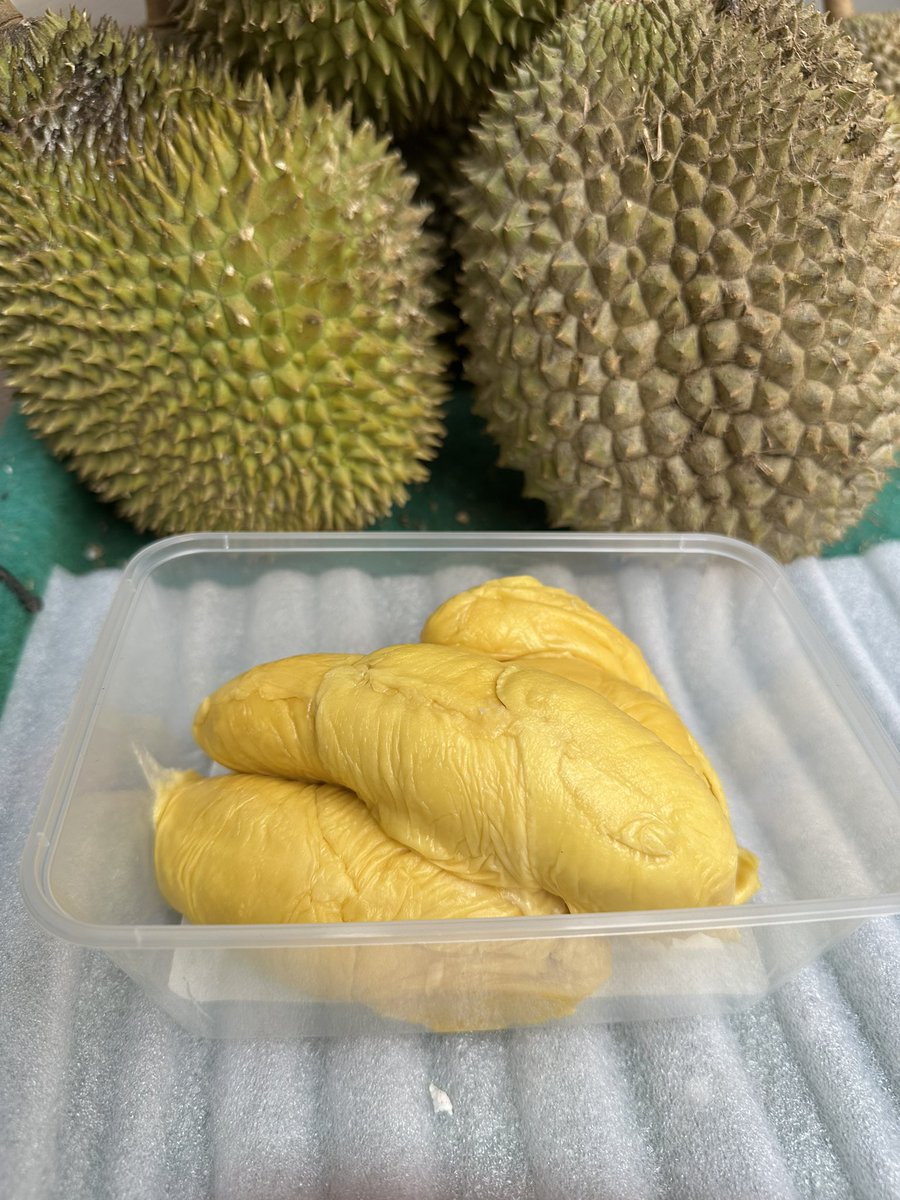 BobbyFir3 tweet media