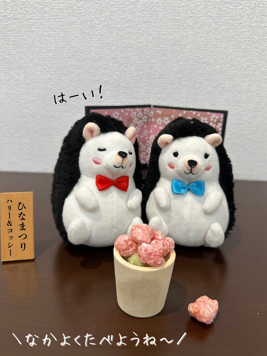 アデランス【公式】 tweet media