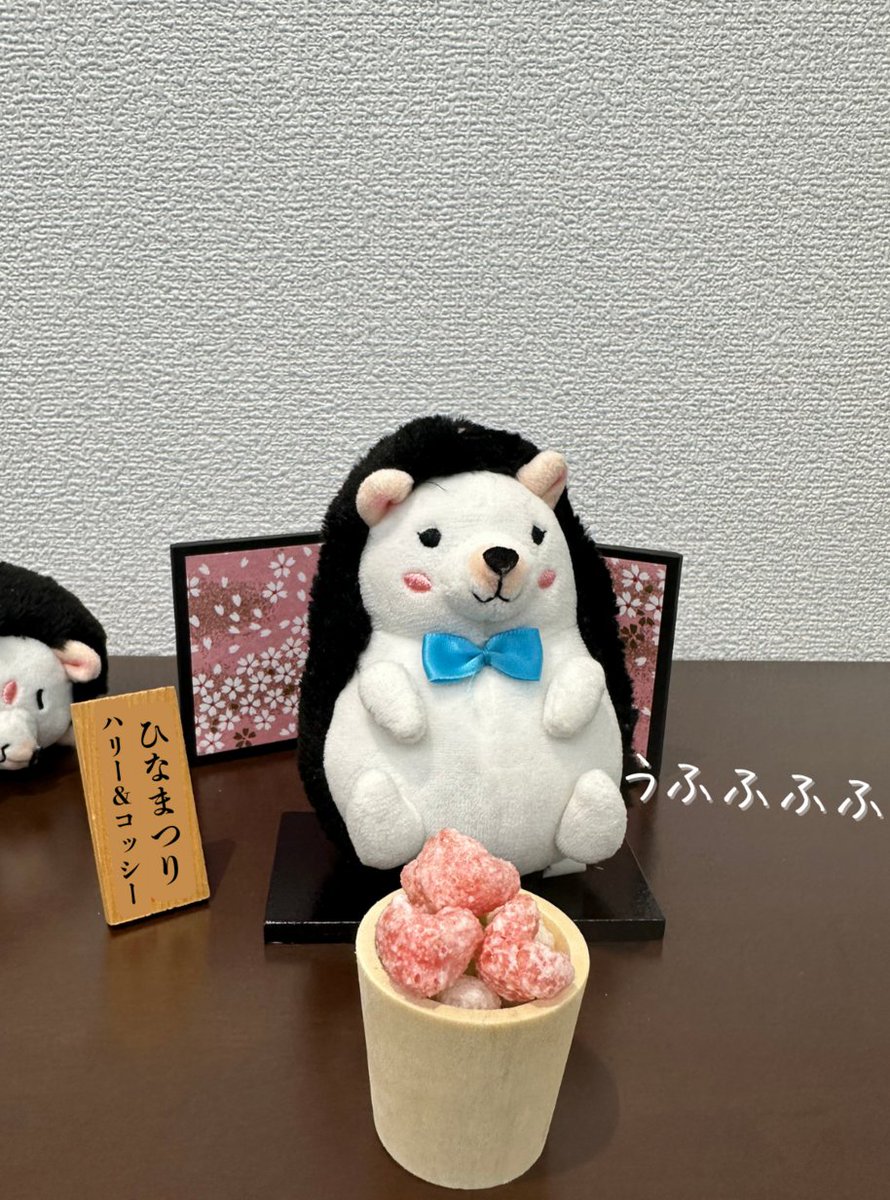 アデランス【公式】 tweet media