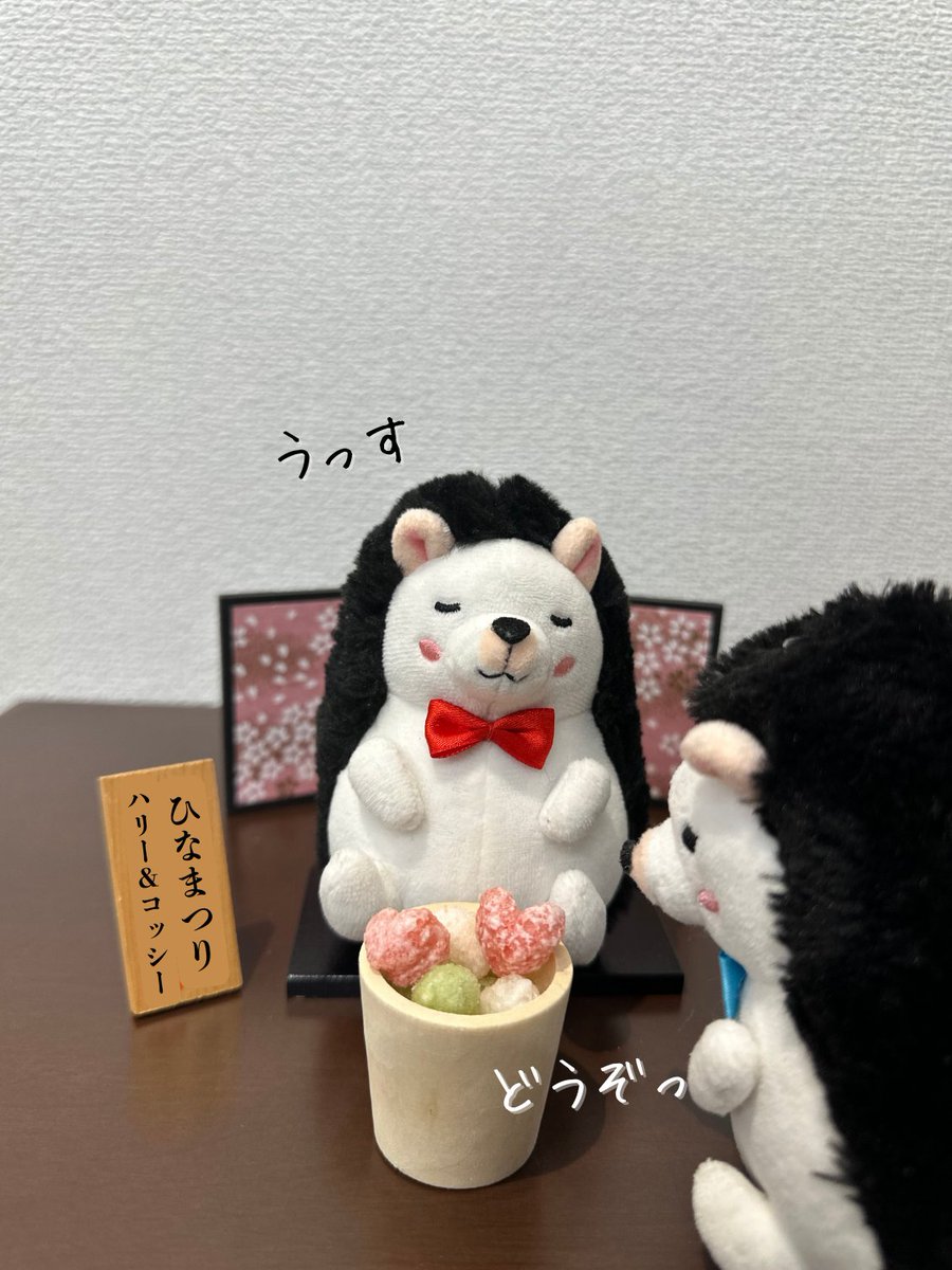 アデランス【公式】 tweet media