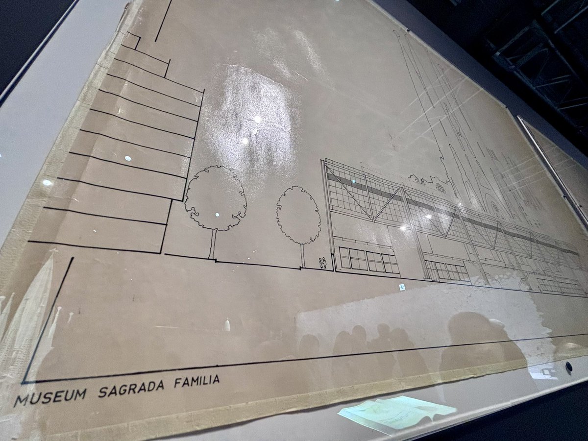 満点💮 tweet media