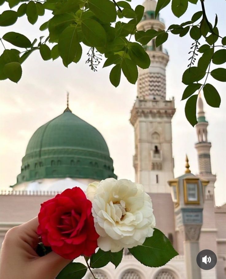 درود ان پر سلام ان پر یہی کہنا خدا کا ہے
خدا کے بعد جو ہے مرتبہ صلی علی کا ہے😍

💞ﷺ💞ﷺ💞ﷺ💞ﷺ💞