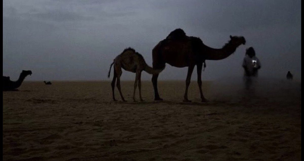jq__q5's tweet photo. مرحبًا أما بعد : 

البعض يعرف أن الغربة هي غربة الديار 
ولكن 
غربة المبادئ أسوء
وهي إنك تكون وسط مجتمع قريب منك بس عقلك في واد وتفكيرهم في واد و تحس إنك دخيل بينهم

ومما قيل شعرًا : 

العاقل اليوم حاله مثل حال الغريب
يستغرب الناس من حوله و تستغربه https://t.co/KcJhj01AB6