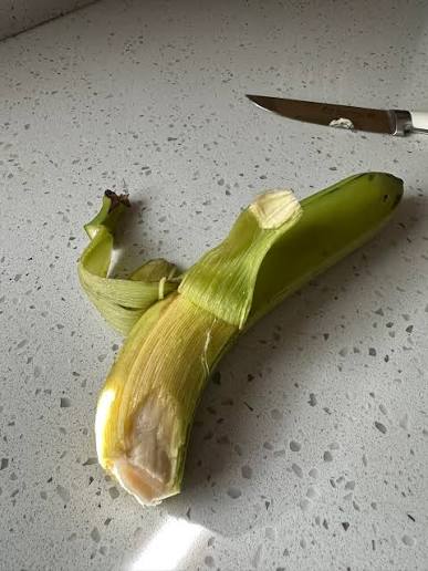 Slip Digby tweet media