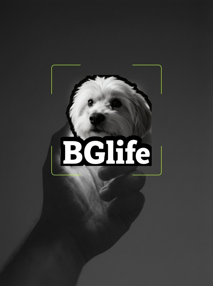 lakijka's tweet photo. GM, Monday morning, are you ready to embrace this new era of AI+Crypto? #Bitget #morphintime #memecoins #BGB #bglife https://t.co/crgHX6jVAr