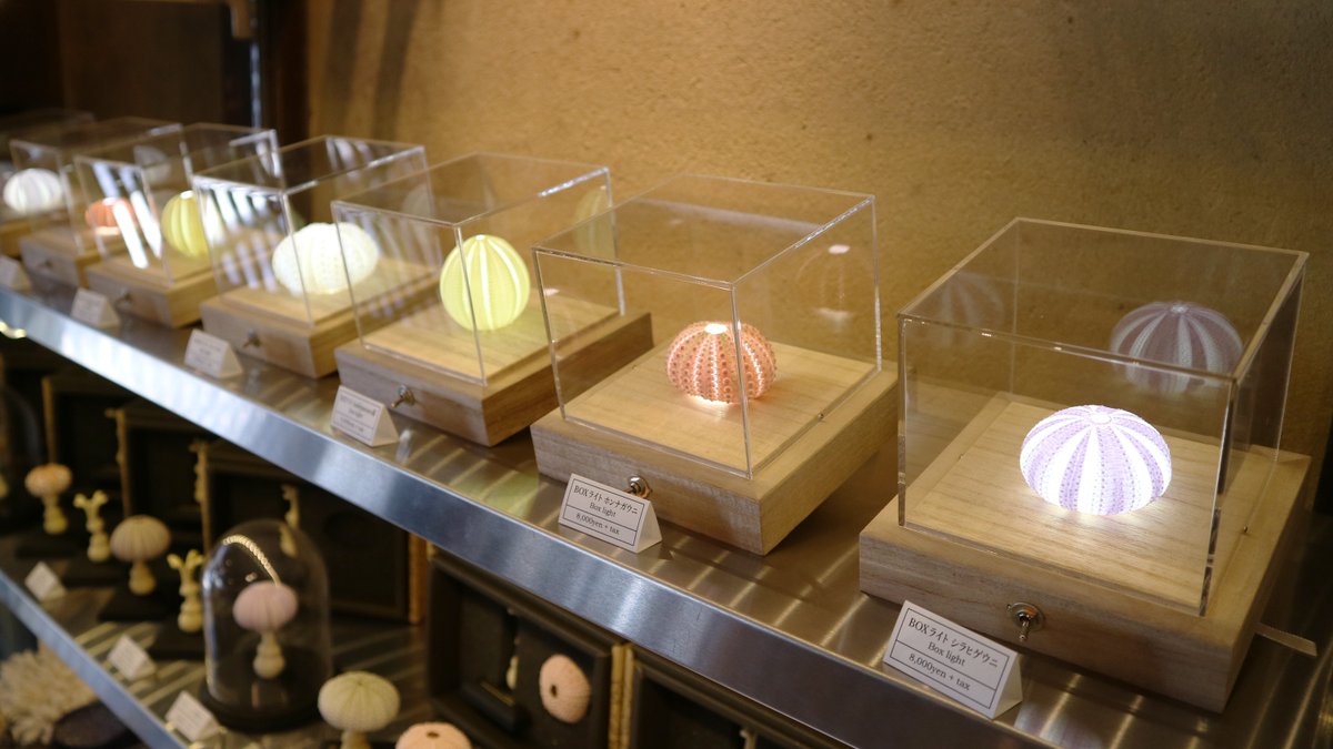 2018年のウニ展@ウサギノネドコ京都店。ウニだけで小売店の売り場を 