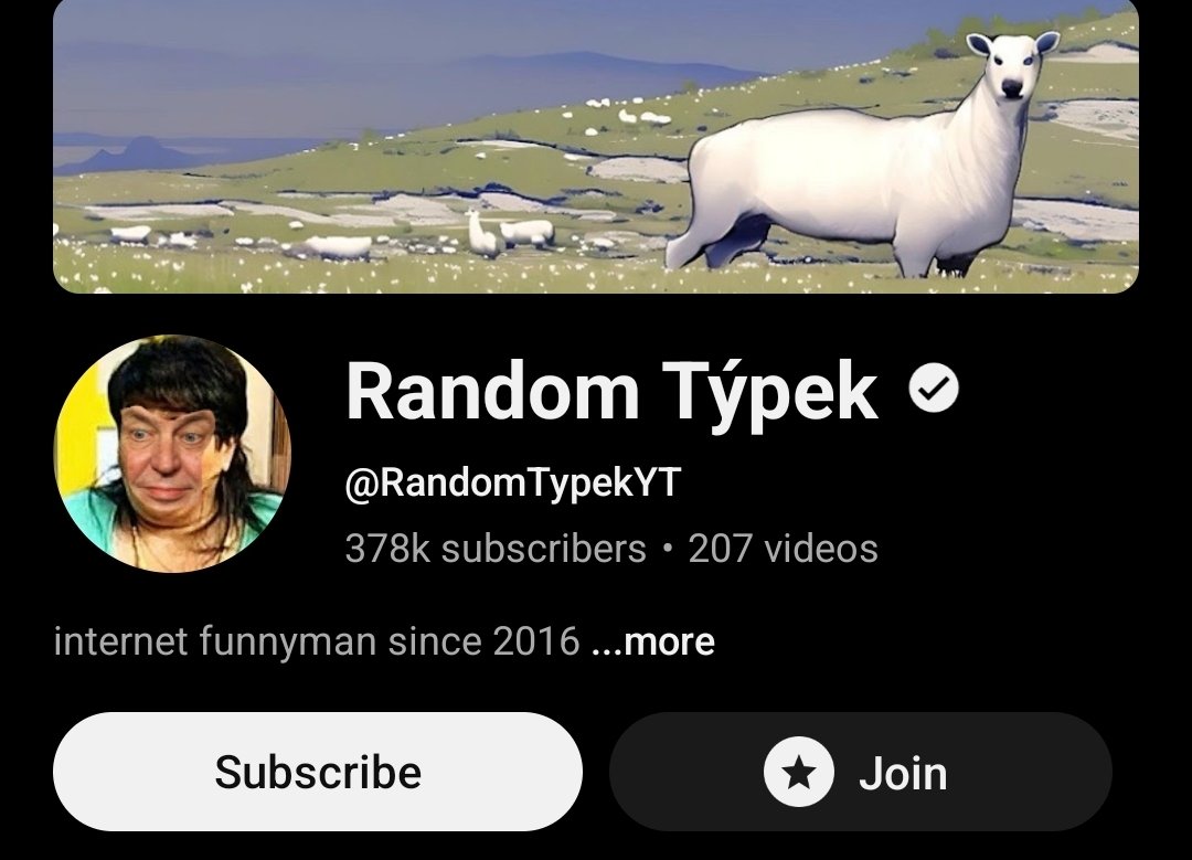 Random Týpek tweet media