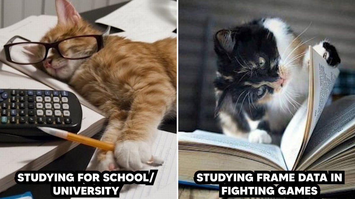 Sillintor tweet media