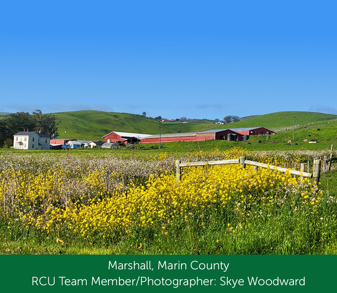 Redwood Credit Union tweet media