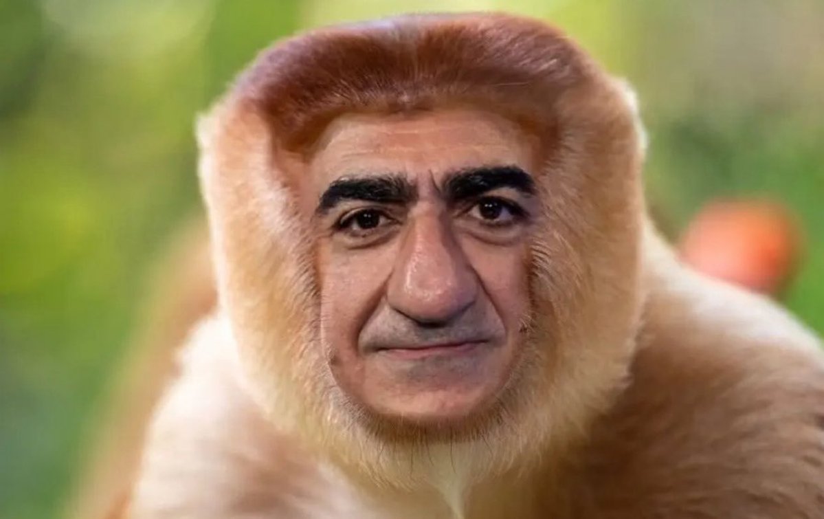 amalek4854's tweet image. Internet blackout in Iran. Regardless, patriotic Iranians don't waste time on social media.