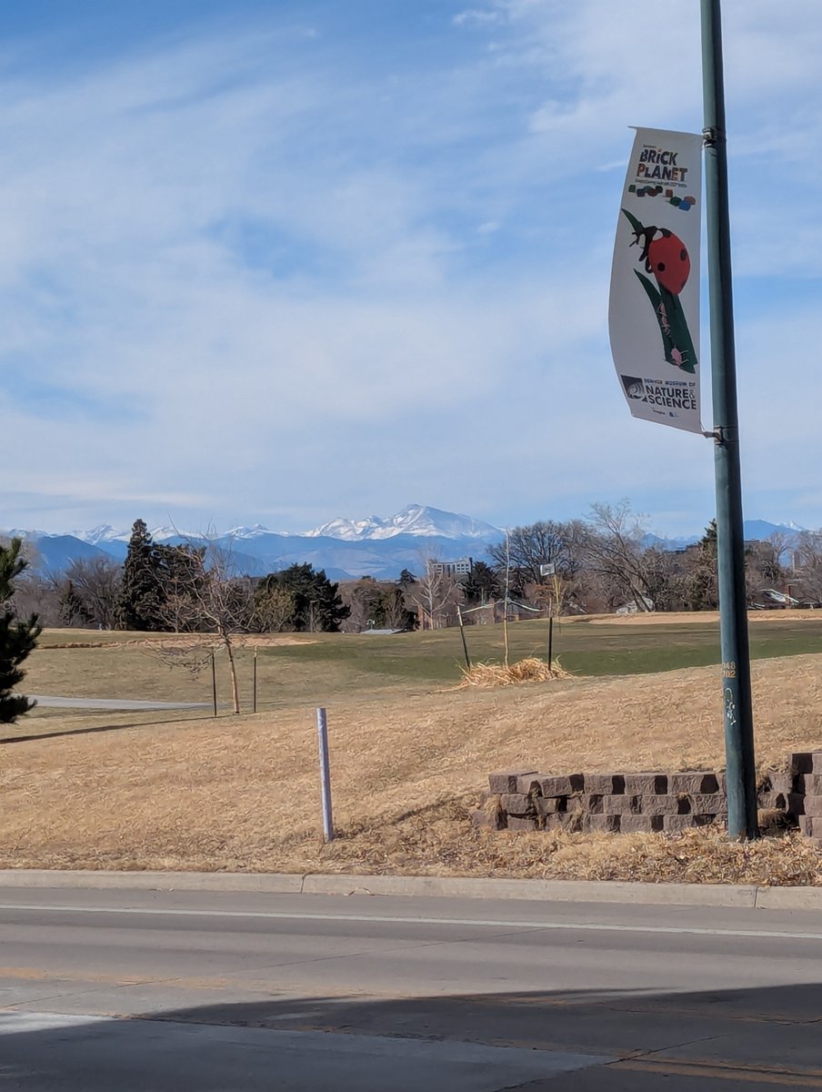 Pulse | Aimedtwo tweet media