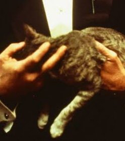 RetroReto tweet media