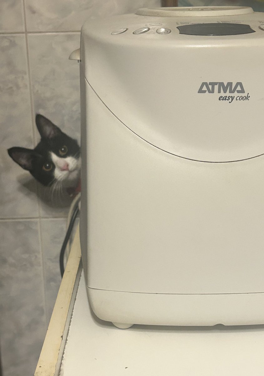 RedGinger tweet media