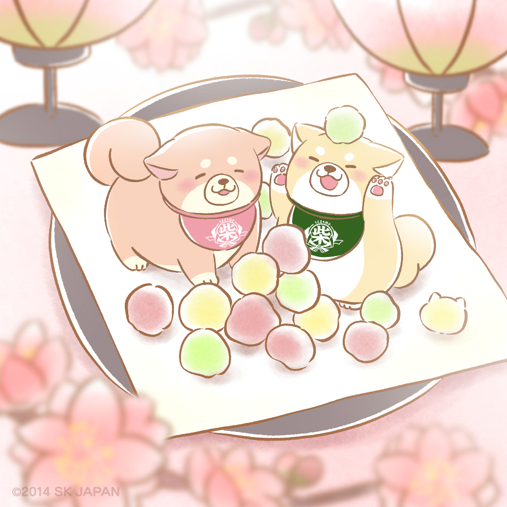 きょうは たのしい #ひなまつり 🎎
ひなあられーっ まんまるで かわいいねーっ！
(きなこ🟢) 

#忠犬もちしば