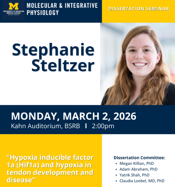 Dan Michele tweet media