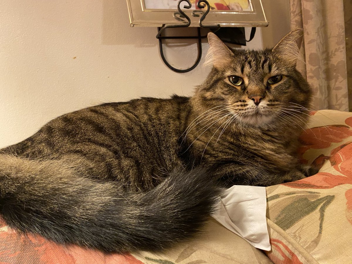 K & Archie, Alec, Declan & Saoirse tweet media