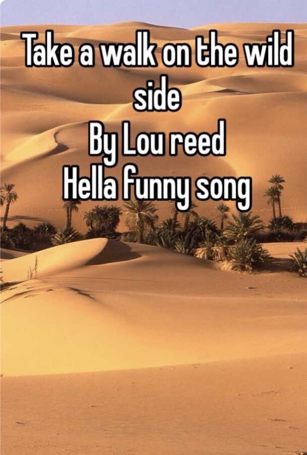 Insane thinker (@norm_follower) on Twitter photo 