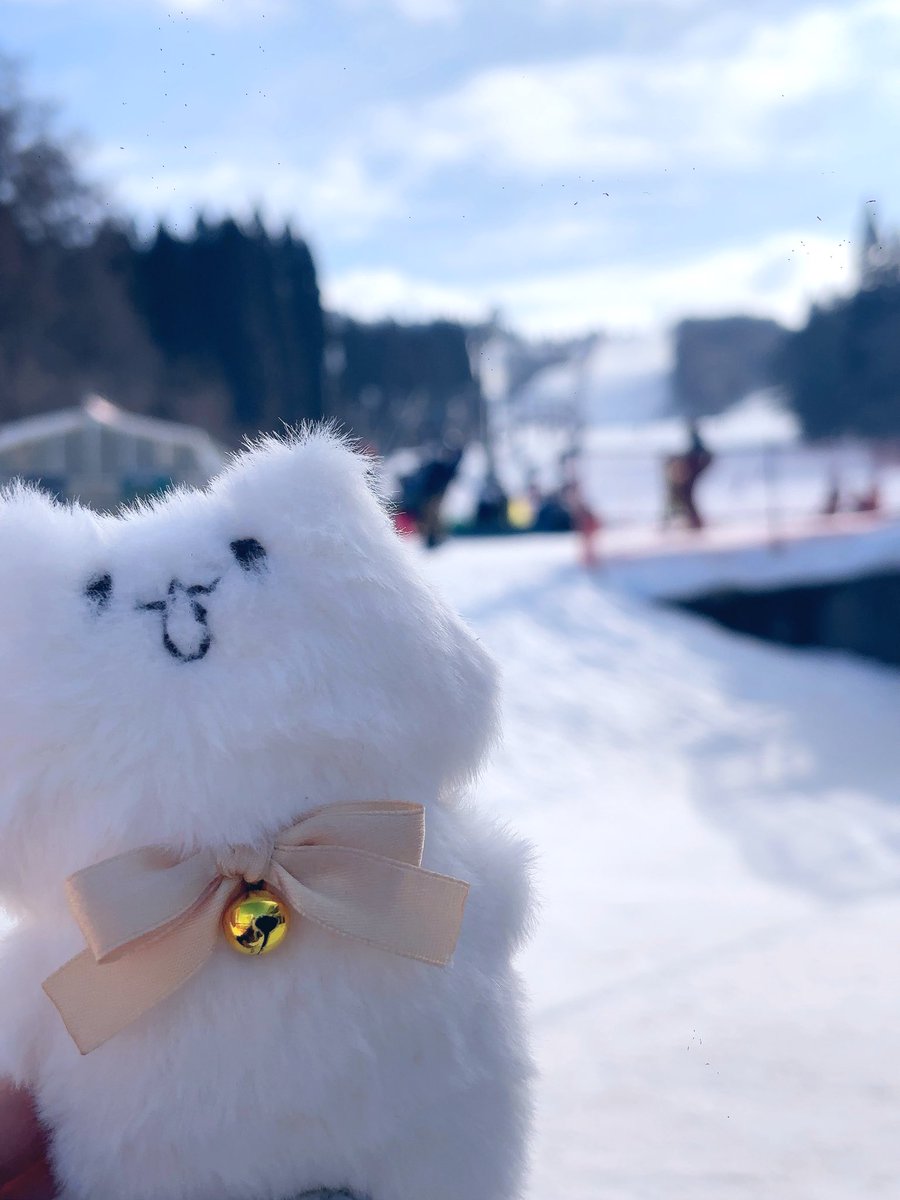 おはようございます☀️
ぞくぞくとグッズ届きましたと投稿してくれる方がいて嬉しいです🌸
自分のBOOTH眺めてると2年弱でだいぶグッズ増えてるなぁと思いました💭
そうさくマーケットの事後通販は3/7(土)までを予定してます- ̗̀🎁 ̖́-➰✨
ぜひぜひよろしくお願いします〜💐🤍