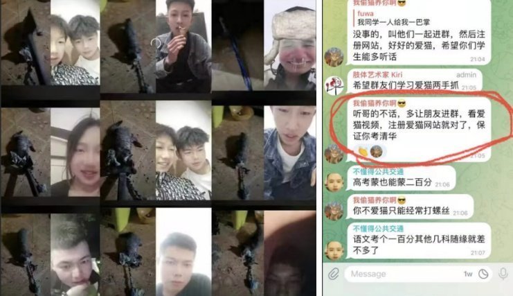 PhaedraXTeddy's tweet photo. Neglectful parents raise retarded criminals, but thats no excuse. Jails can teach them what their parents didn't. Their parents should have to pay fines as well to animal sanctuaries. #StopAnimalCruelty and by the way #China 🇨🇳 is such an incompetent nation, they don't even have a law against #AnimalCruelty and kids love doing it they even do it on every Chinese social media.
