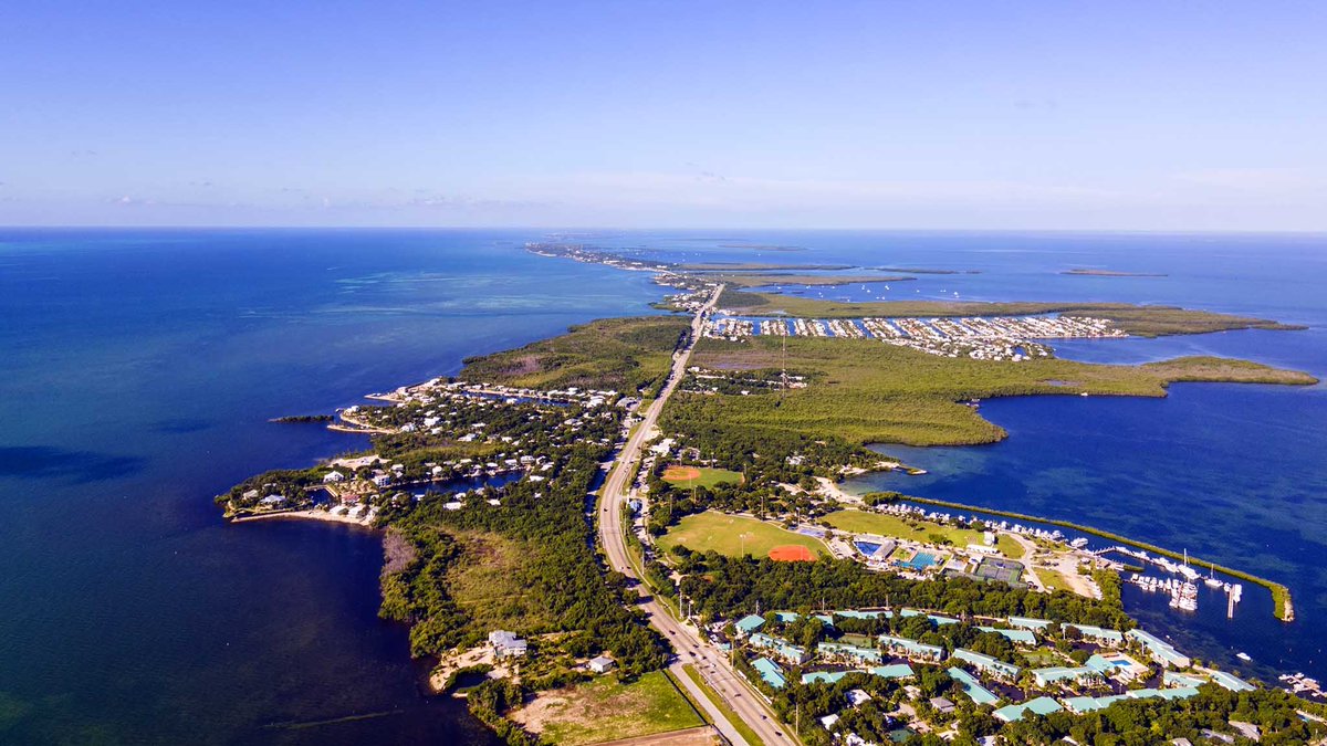 Branch Floridian tweet media