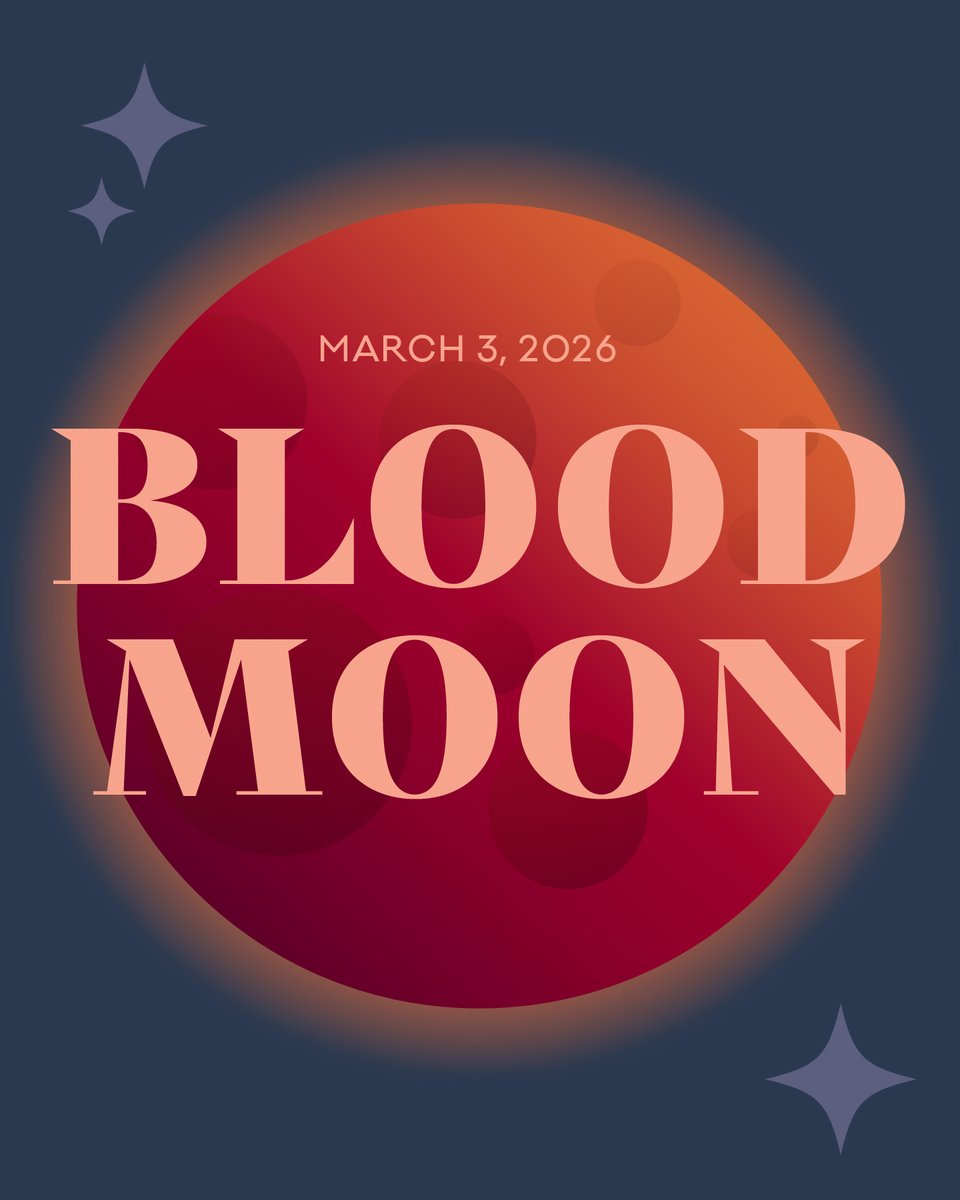 Eight Moon™ tweet media