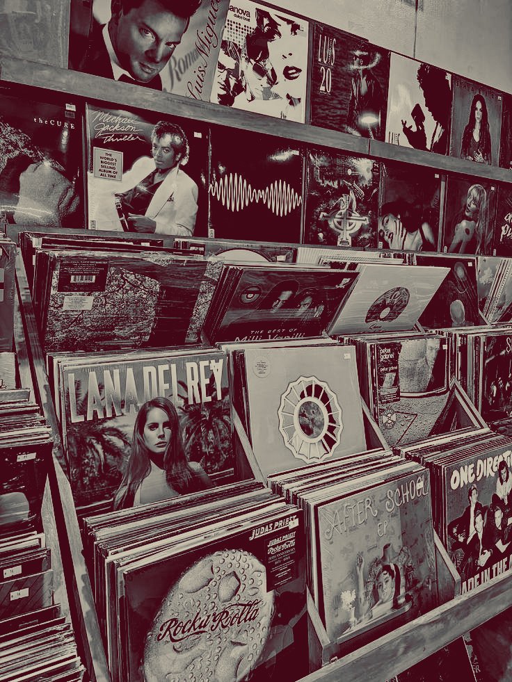 ؘᅟ ᴶᴱ𝚂͟𝚂͟𝚈,ᅟ ꫝ. tweet media