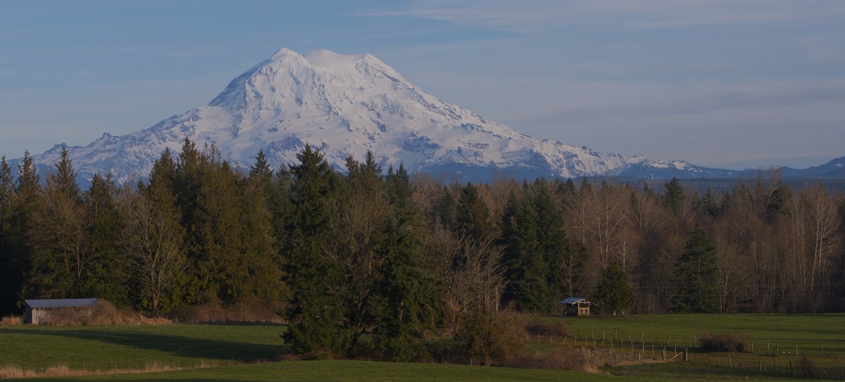 carlprothman's tweet photo. Another angle on Mount Rainier that stopped me in my tracks this afternoon, that crisp winter light on the peak is pure magic! ☀️❄️
Do you see what I see in the foreground? 👀
#PNWPhotography #MountRainier #LightChasing https://t.co/rWhRuPpKMG