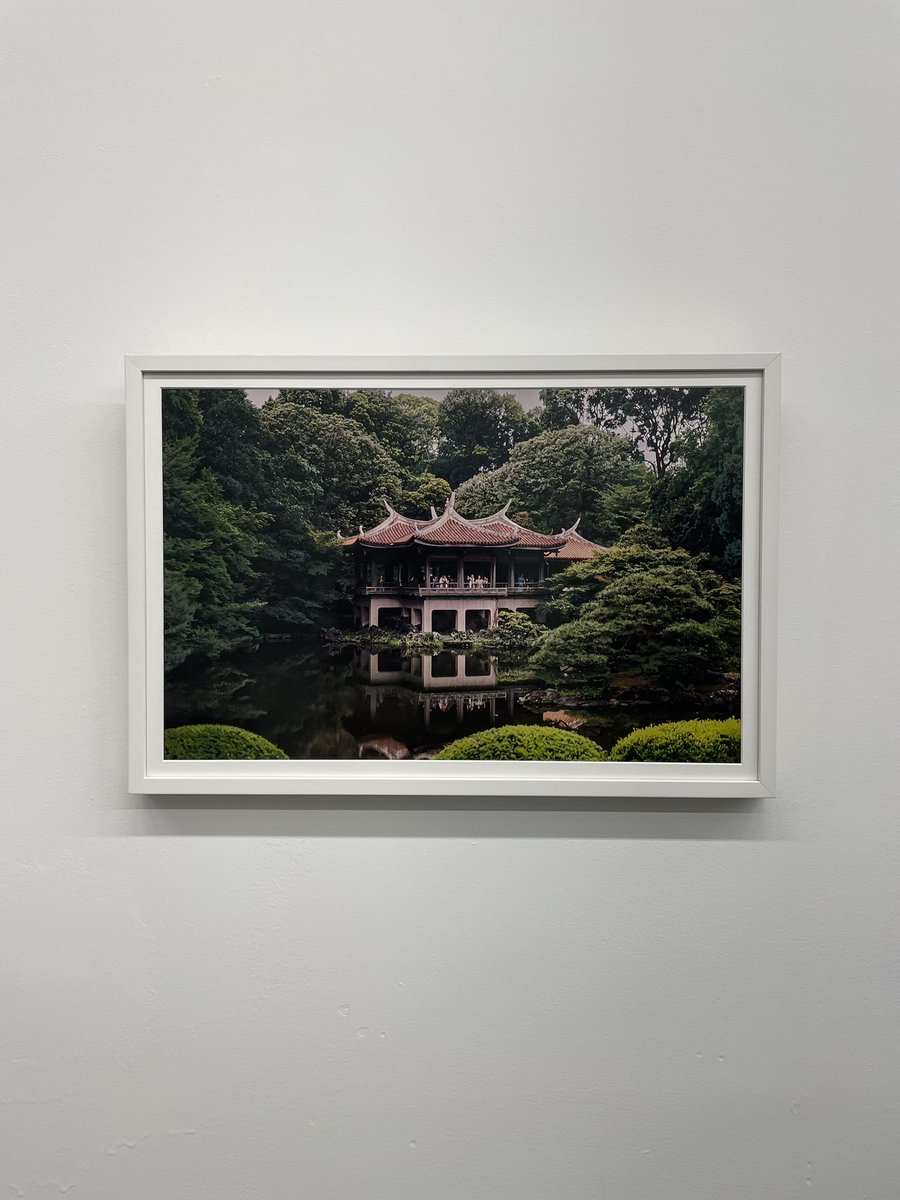 David Rivera tweet media