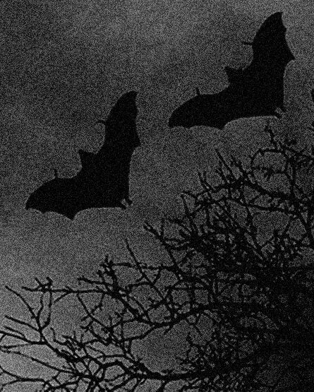 AgainWithTheGothicVibes tweet media