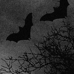 Photo by AgainWithTheGothicVibes (@ReReGothic)