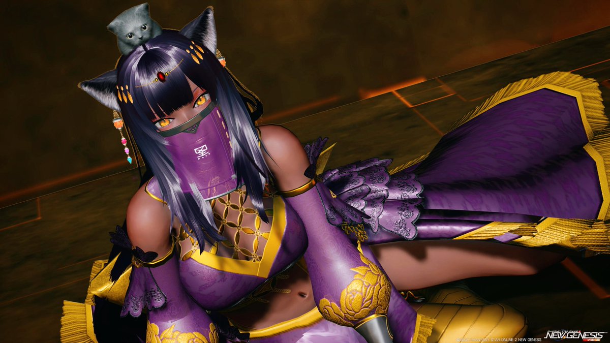 テトラパトラ tweet media