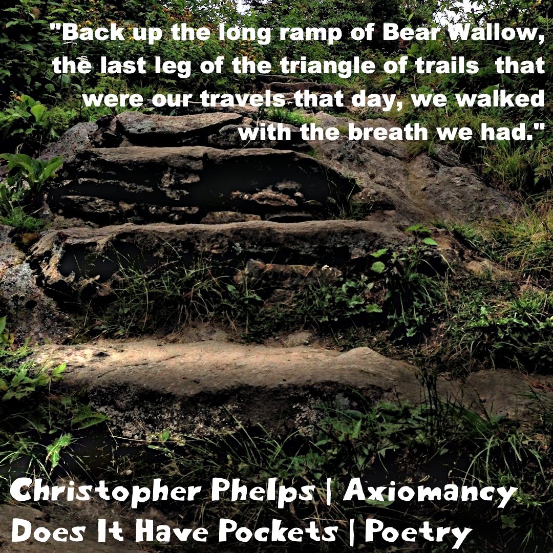 Does It Have Pockets tweet media