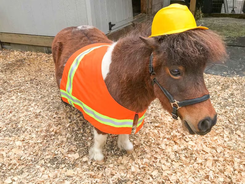 loams 1️⃣ tweet media