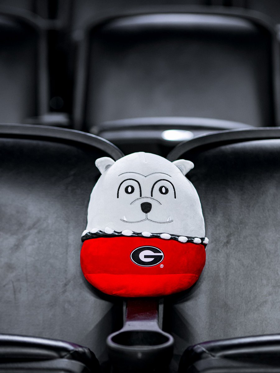 Georgia Basketball tweet media