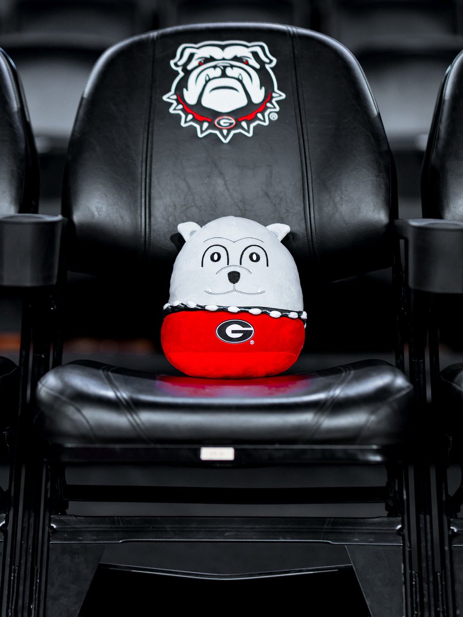 Georgia Basketball tweet media