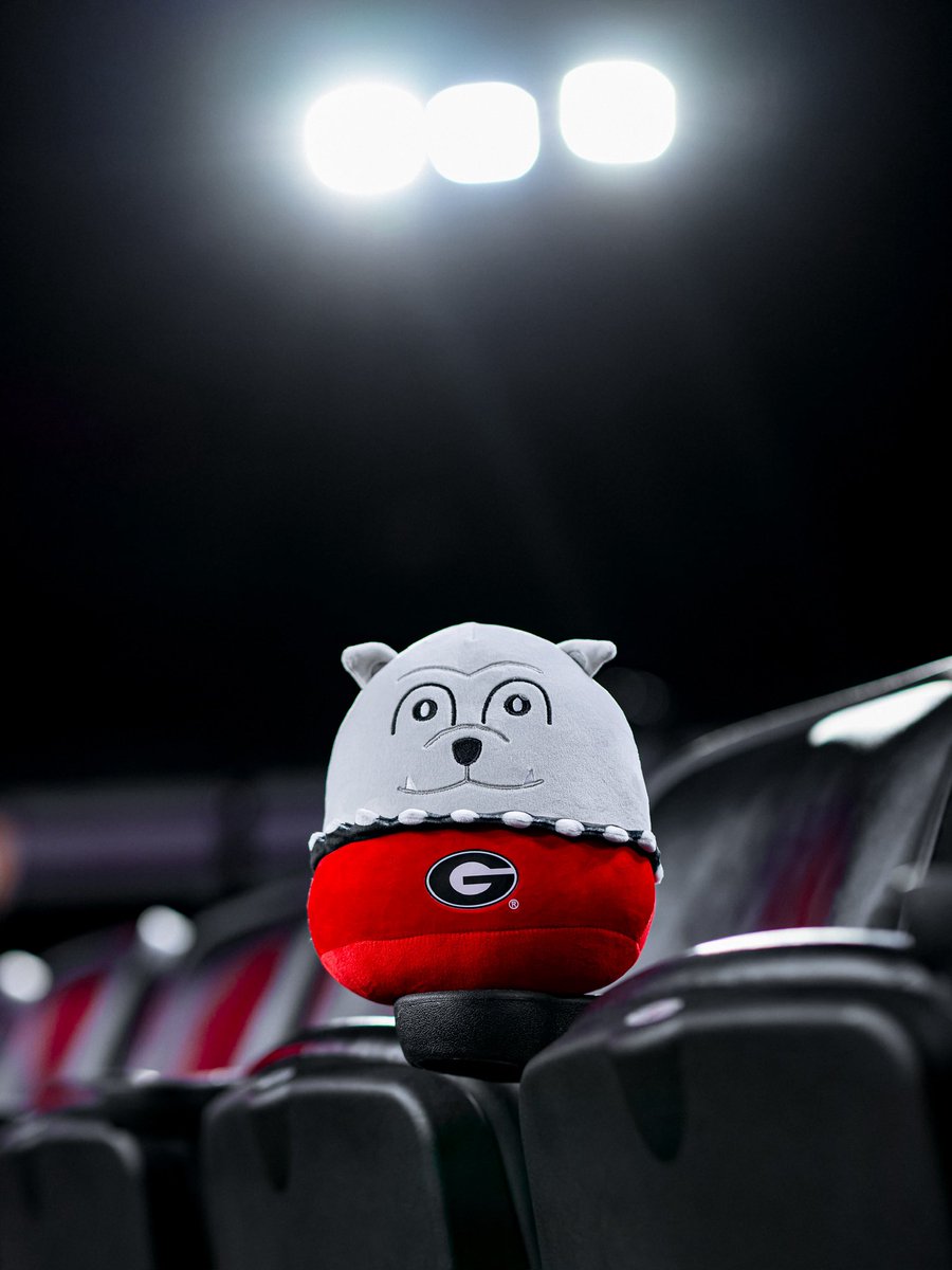 Georgia Basketball tweet media