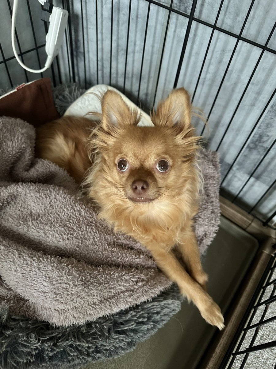 坂場明日香 ばっちゃん (@Sbacchan) / Posts / X