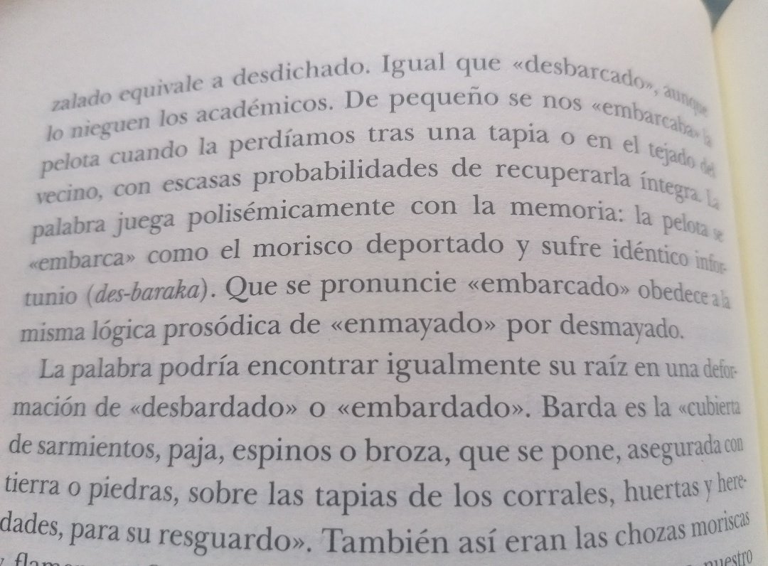 Sin café no hay lucha ۞🪳 tweet media